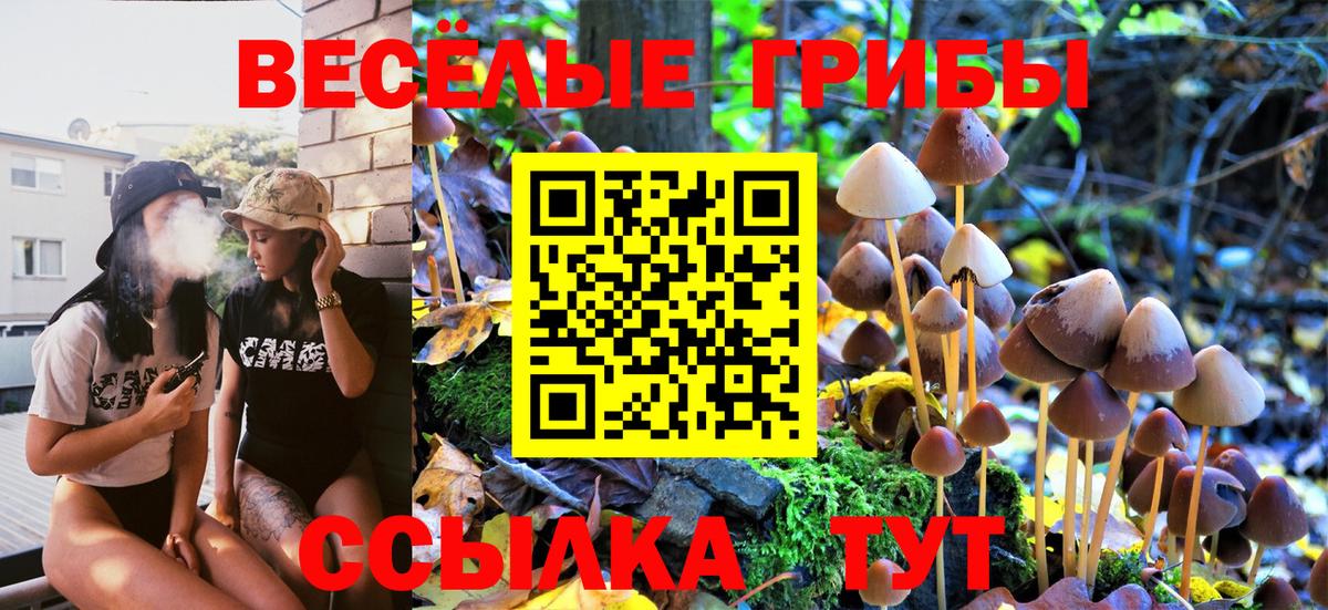 Галлюциногенные грибы мицелий Зерноград