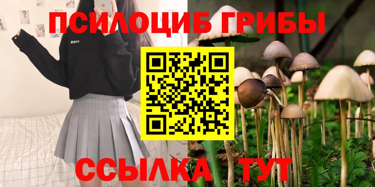 Псилоцибиновые грибы MAGIC MUSHROOMS  Вход с VPN  Зерноград 